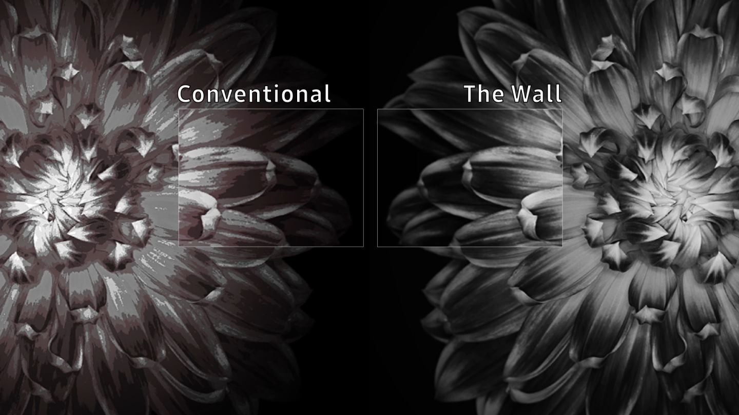 Comparing black and white images. Conventional has a faded gray look, but The Wall shows a clean gray.