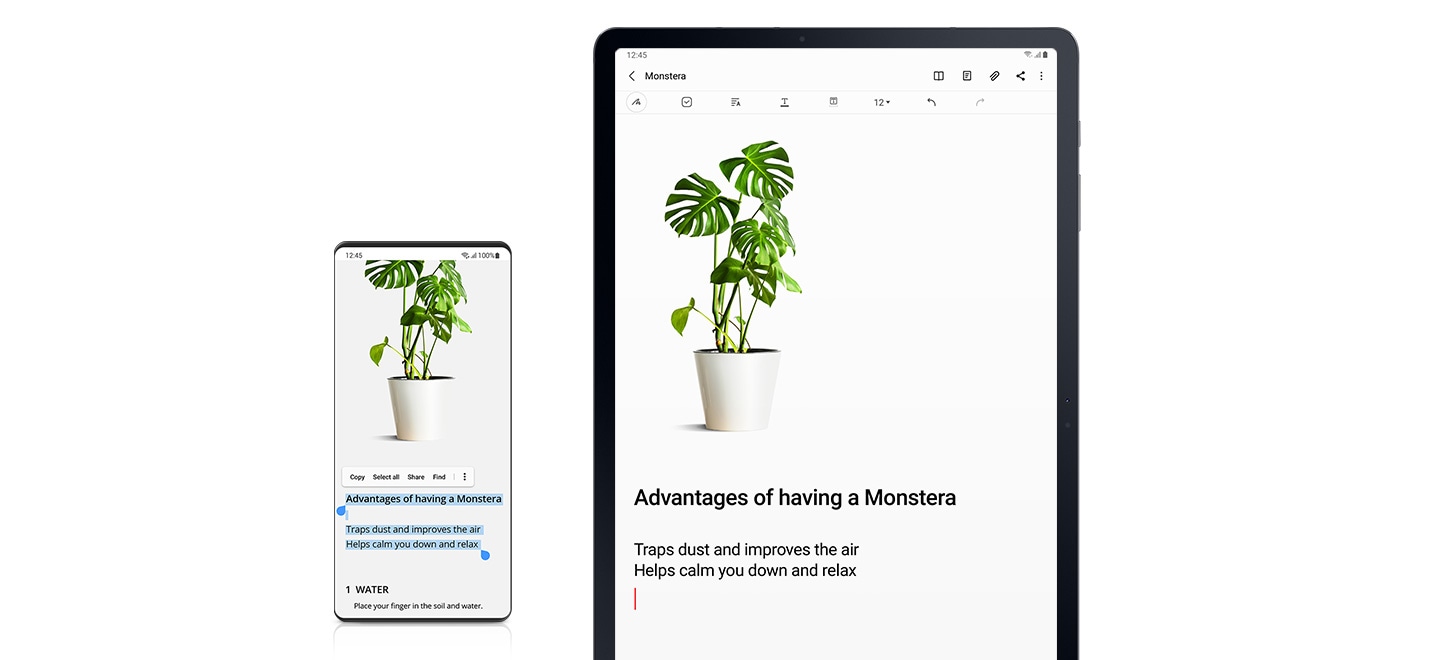 Copy the contents to the plant site on the phone and paste them into samsung note on Galaxy Tab S7+