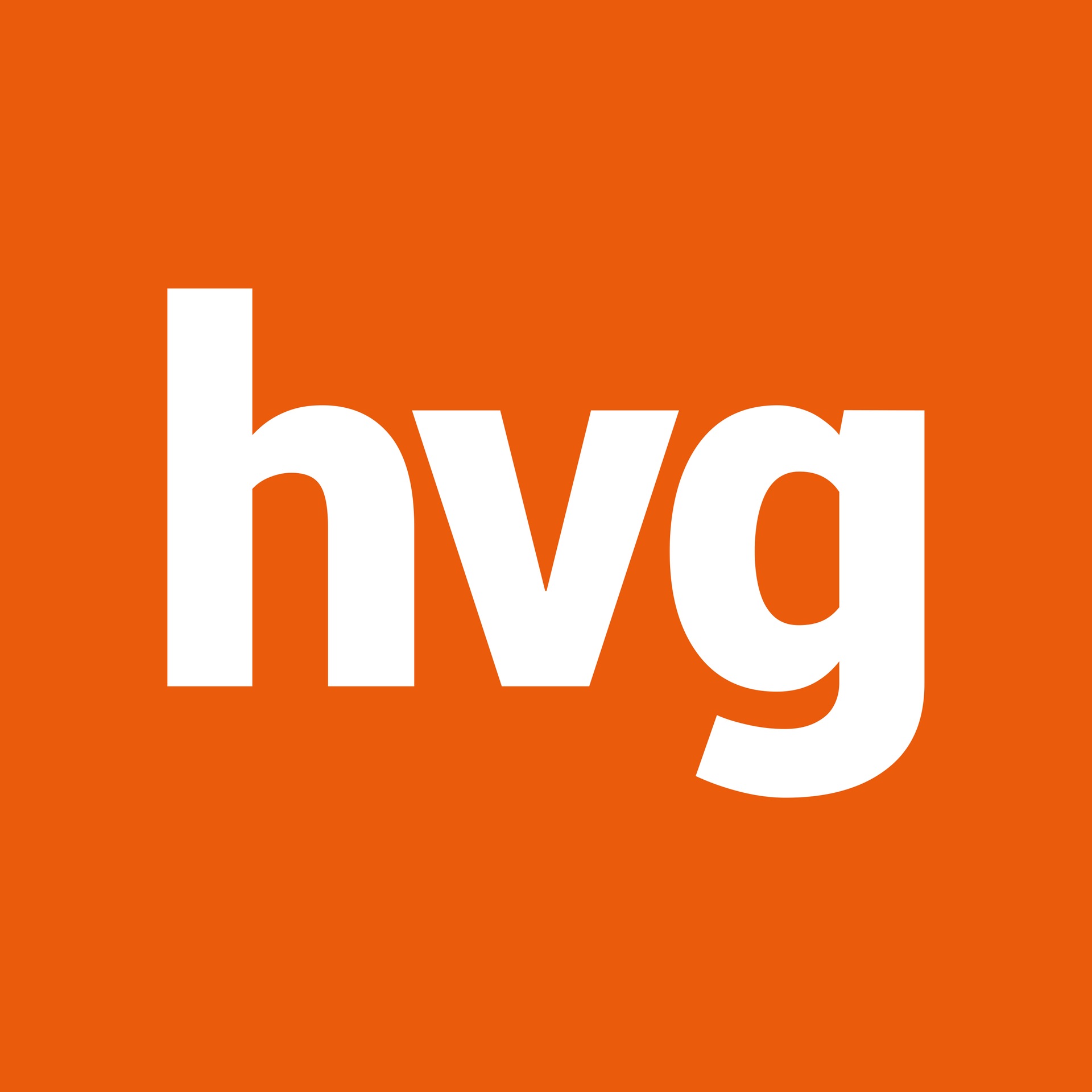 hvg logo