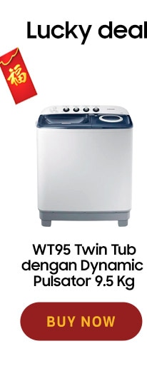 WT95 Twin Tub 9.5 Kg