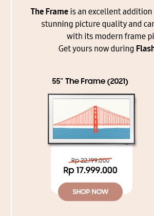 55inch The Frame (2021)