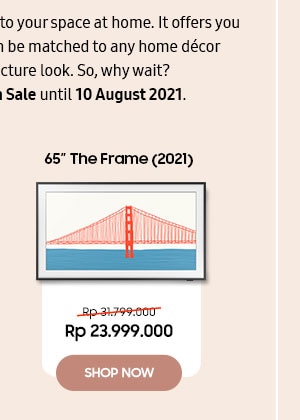 65inch The Frame (2021)