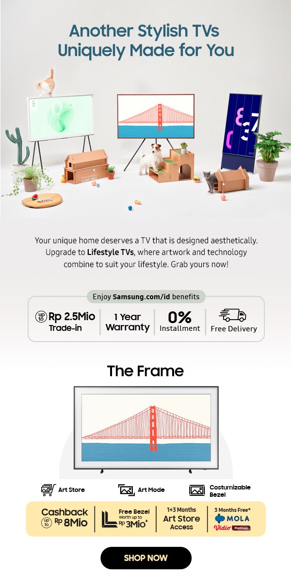 The Frame