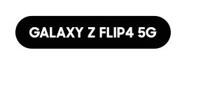 Galaxy Z Flip4 5G