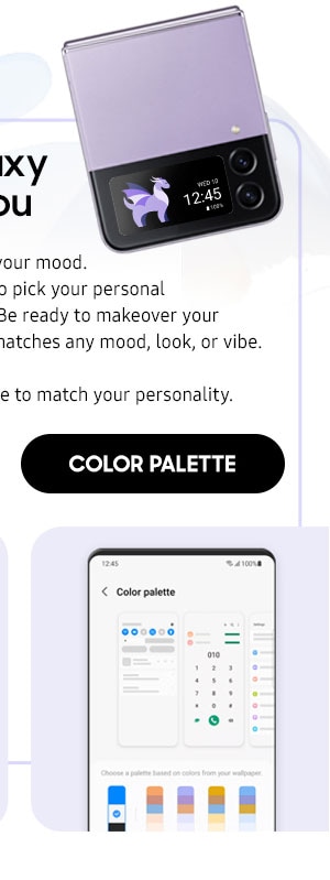 Color Palette