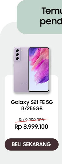 S21 FE