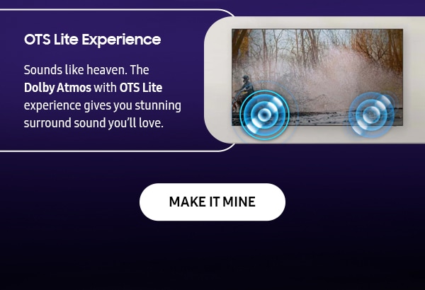 OTS Lite Experience