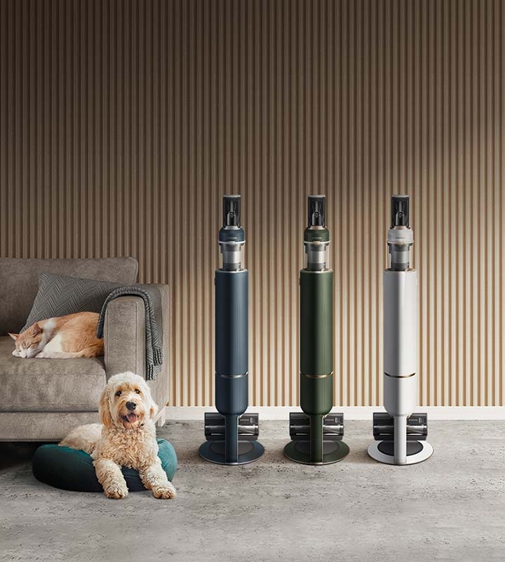 Animal Lover? Vacuums for Pet Hair