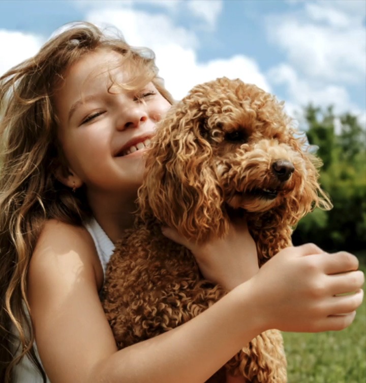 A girl holding a puppy. Three option icons appear: Live effect, Remaster and Background blur. Live effect is selected. While the effect is being applied, the message Adding live effect appears. Shortly, the effect is applied. The background moves as the screen tilts, making the girl and the puppy appear more lively.