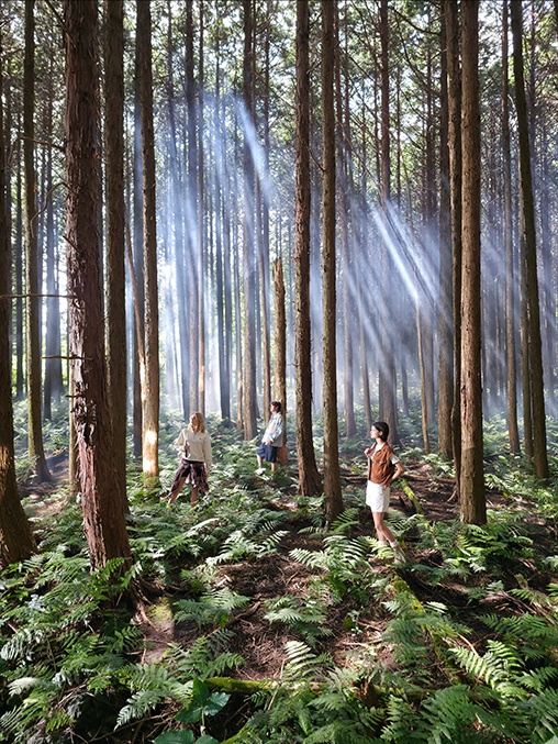 A high-resolution portrait of people in a forest has been shot using Galaxy Z Fold7's 200 megapixel rear camera. Finer details and textures have been captured.