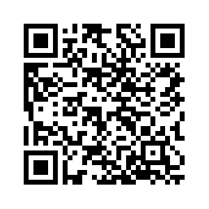 dsc-qr-code-icon