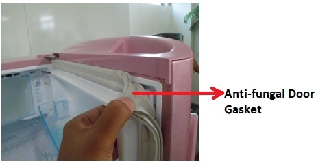 What is Anti fungal Gasket in a Refrigerator Samsung India