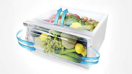 Setting the Temperature in Samsung Frost Free Refrigerator