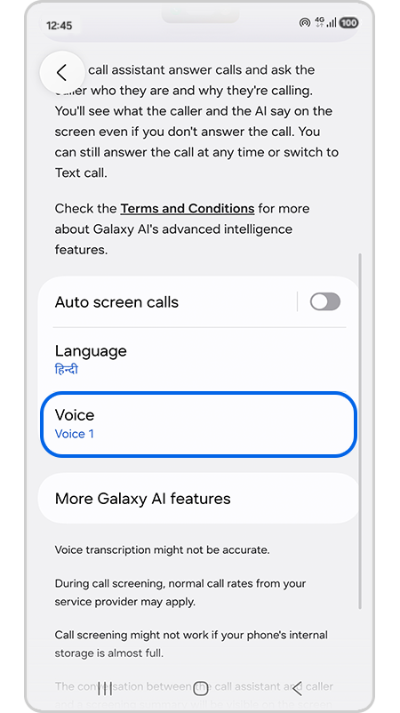 Voice option has been selected in image