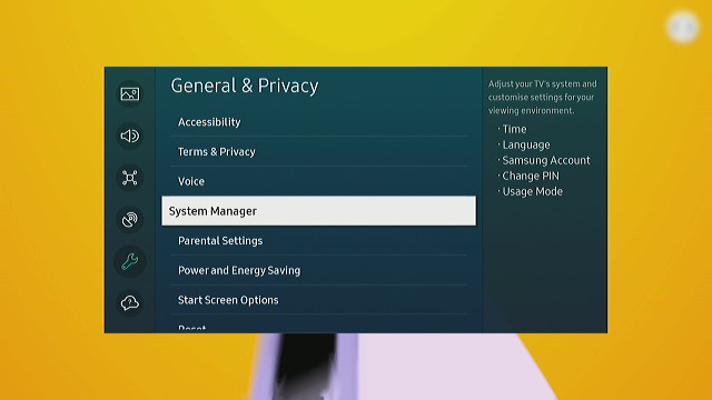 system manager option image