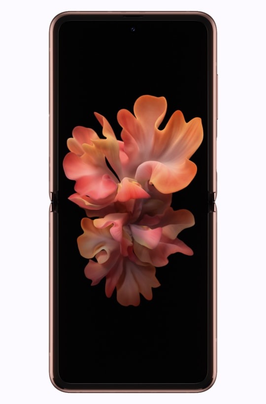 Featured image of post Rosa Cipria Sfondo Telefono