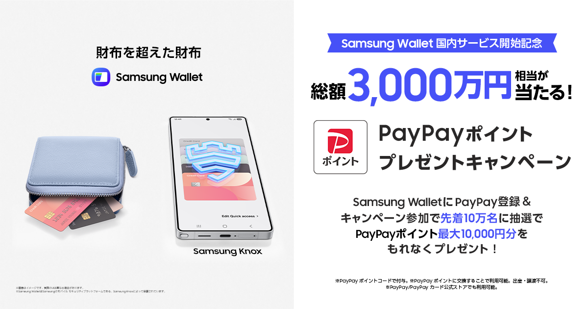 無効カート未使用記念チケット総額4万円相当 無効カート記念チケット総額4万円相当 （抽選で75名様に総額100