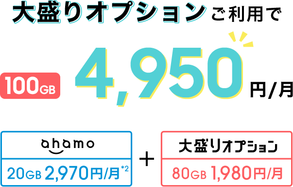 大盛りオプションご利用で100GB 4,950円/月