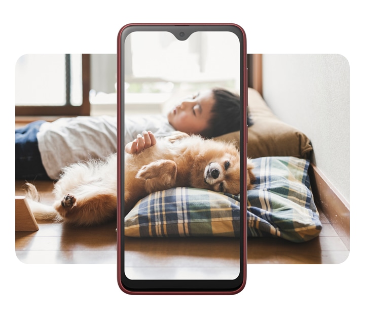 Galaxy A22 5G（ギャラクシーA22 5G）レッド製品ディスプレイの後ろから子供と犬が寝ている姿の写真が見えます。