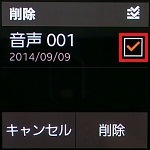 4.削除したい音声メモのチェックボックスにチェックを入れます。 4.削除したい音声メモのチェックボックスにチェックを入れます。