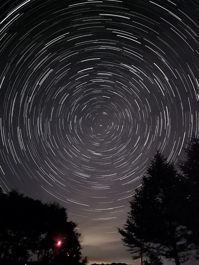 Night sky photography showing the effects of long-exposure against the slowly moving night sky. The stars have been captured along their nightly paths through the sky in one long exposure, giving a radiant halo effect. Pine trees are in the foreground.