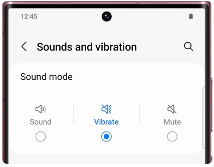 Samsung Galaxy Watch does not vibrate | Samsung Caribbean