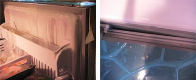 What are Ice Max bins in Samsung Frost Free Refrigerator(RT36FDJFASL)?