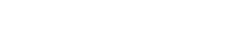 BESPOKE Jet™ AI
