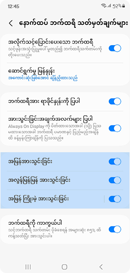 ဘက်ထရီသတ်မှတ်ချက်များတွင် အားသွင်းပုံ အမျိုးအစားကို ကြည့်ပါ