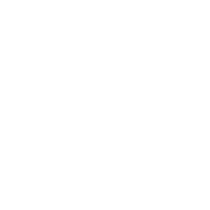 Over the phone icon