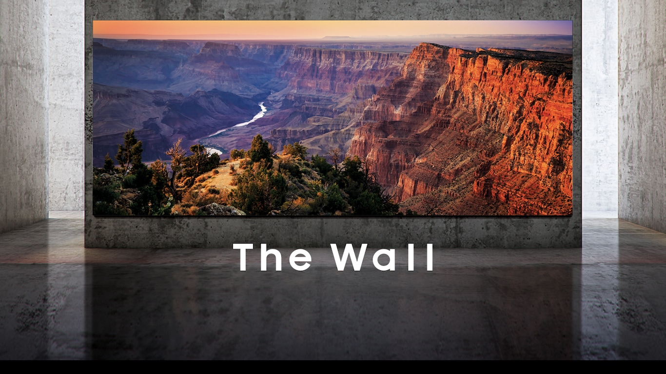 the wall 