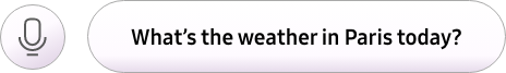 We zien een tekstwolkje met de tekst 'What's the weather in Paris today?'