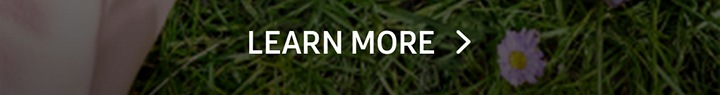 LEARN MORE button
