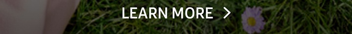 LEARN MORE button