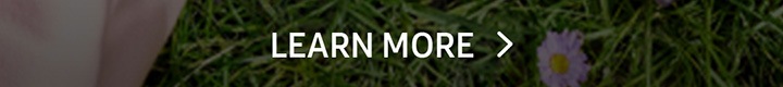 LEARN MORE button