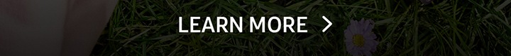 LEARN MORE button