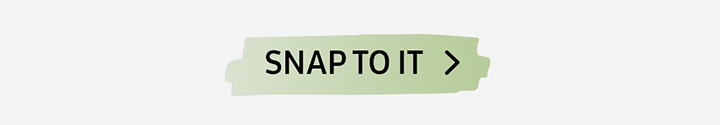 SANP TO IT button