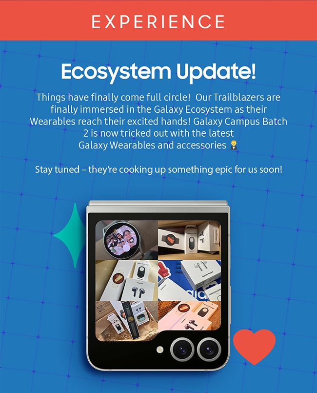 EXPERIENCE Ecosystem Update!