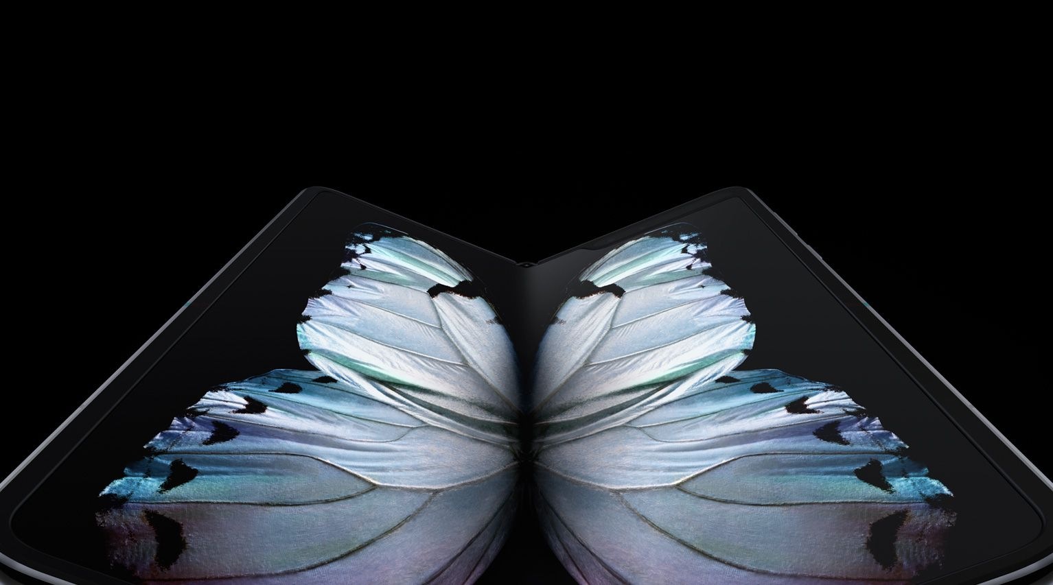 Samsung Galaxy Fold Samsung Philippines Butterfly animation test (cinema 4d/after effects). samsung galaxy fold samsung philippines