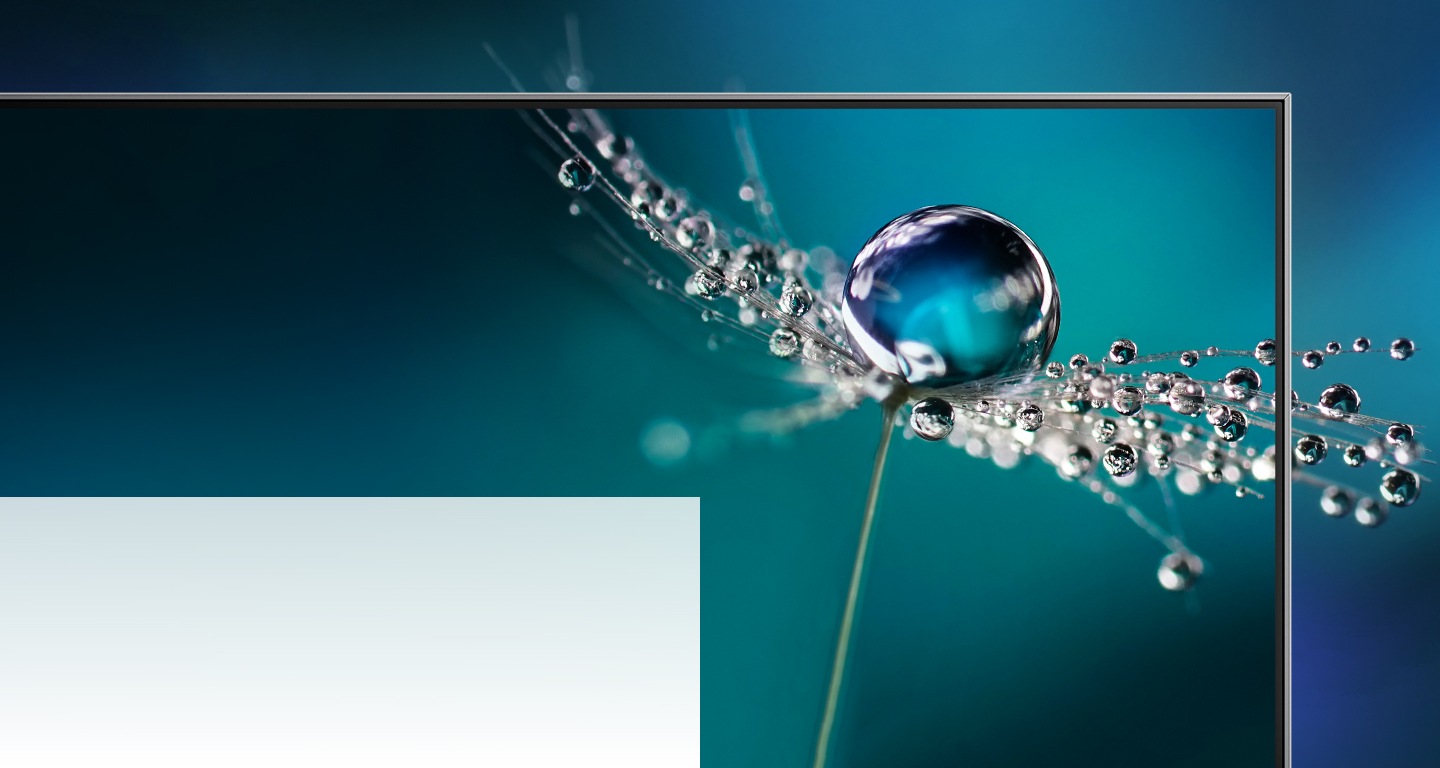 TV Buying Guide 2022 TV brand for picture quality Samsung PH