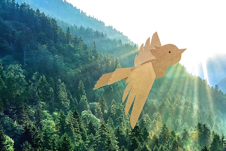 Burung yang dikeluarkan tangan yang diperbuat daripada kadbod dari pembungkusan eko Samsung terbang di atas hutan yang luas dengan cahaya matahari dari tinggi di atas langit