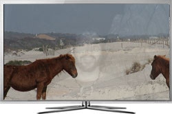 Udveksle Wings højde Are LED TVs Subject To Burn In? | Samsung Pakistan