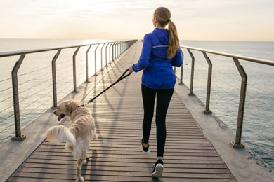 Vista posterior de una mujer paseando su perro en un puente por la mañana