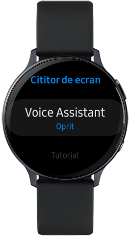 samsung galaxy watch voice assistant