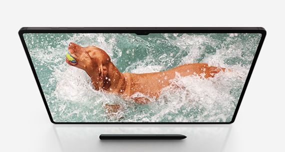 Вид спереди на Galaxy Tab S9 Ultra в альбомном режиме, на экране изображена собака, играющая в воде. Капли воды окружают устройство. Перед устройством находится перо S Pen.