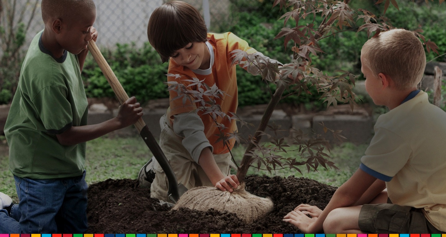 Трое детей используют командную работу, чтобы посадить молодое дерево вместе. Приложение Samsung Global Goals позволяет каждому принять участие в создании светлого будущего.