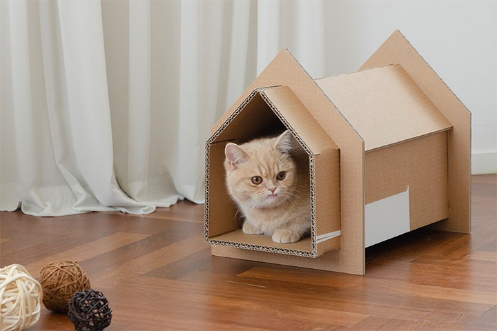 Домик для кошки: делаем своими руками или покупаем