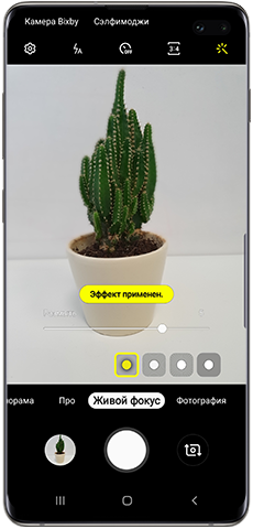 Эффект размытия при применении Живого фокуса на камере Galaxy S10