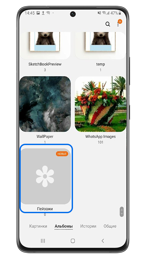 Новый альбом появится среди альбомов в галерее.