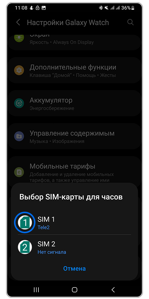    SIM-  iPhone -   Apple RU